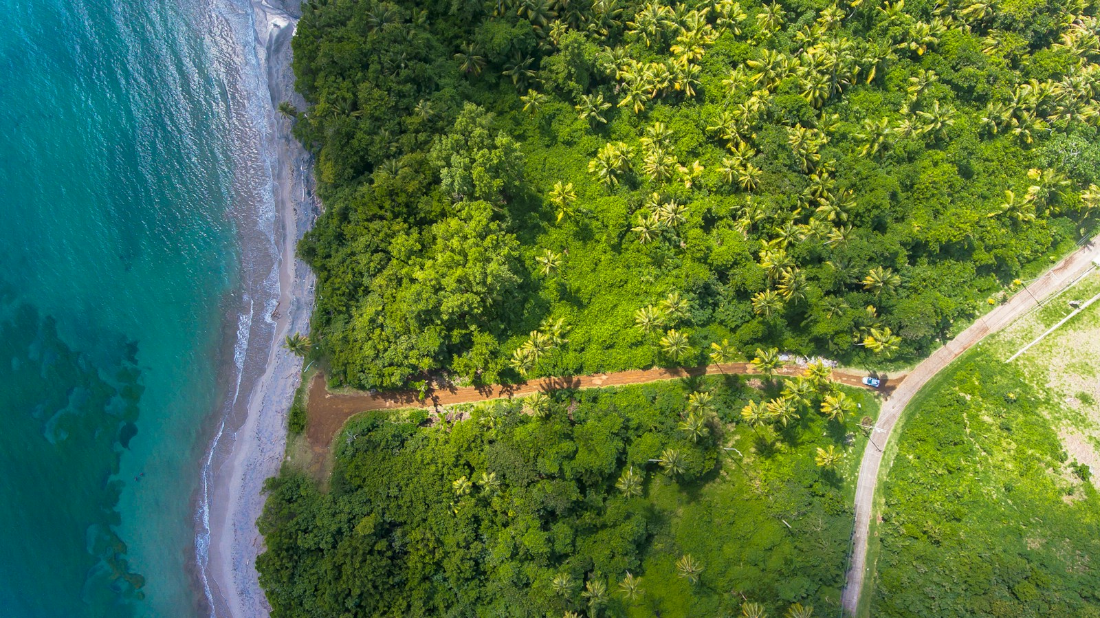 green trees near river during daytime